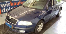 Skoda Octavia 1.9 TDI Team Edition